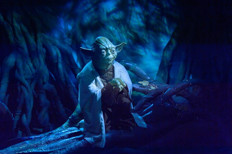 Yoda hiding at the swamp-planet Dagobah