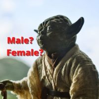 Is Yoda male or female ?