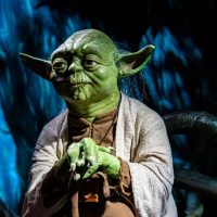 Yoda and his Force Vision