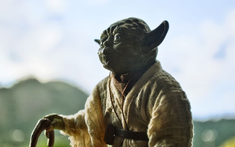 about Yoda Master