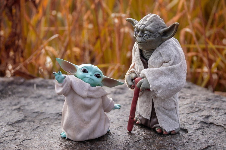 Yoda & Grogu 