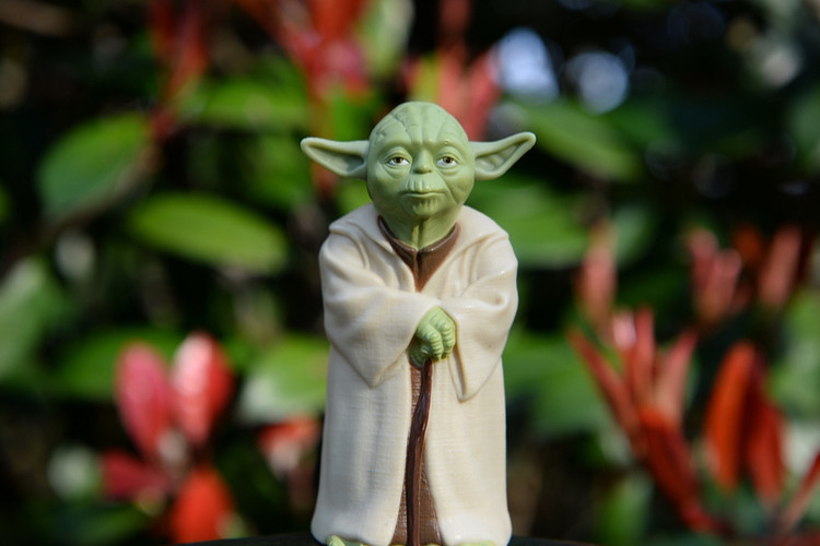 Yoda master 