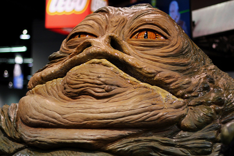 How Much Does a Hutt Weigh?