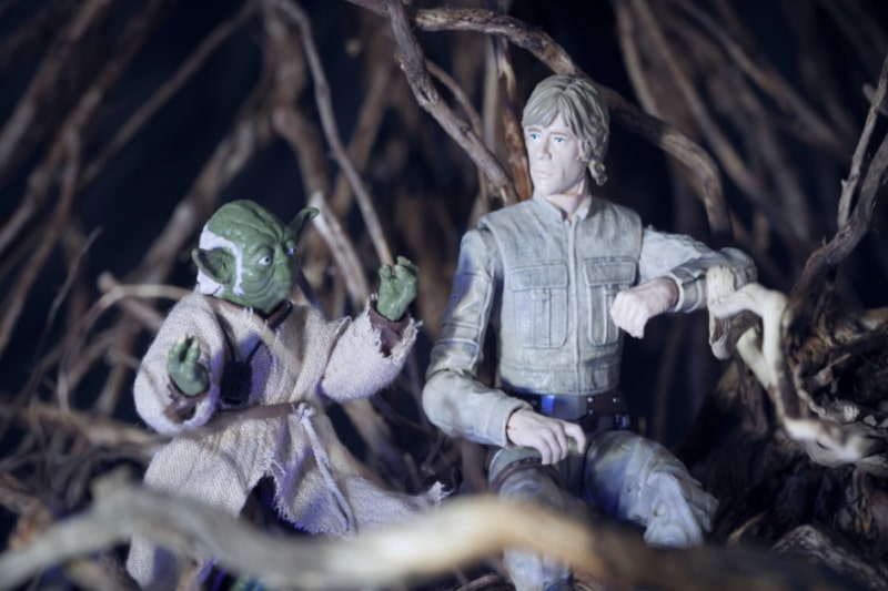 Jedi Master Yoda and Luke Skywalker on Dagobah