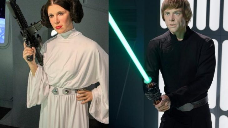 Did Princess Leia and Luke Fall in Love?