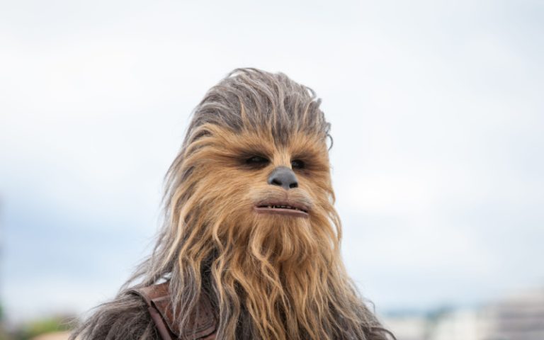 What Sound Does Chewbacca Make? - May4BeWithYou.com