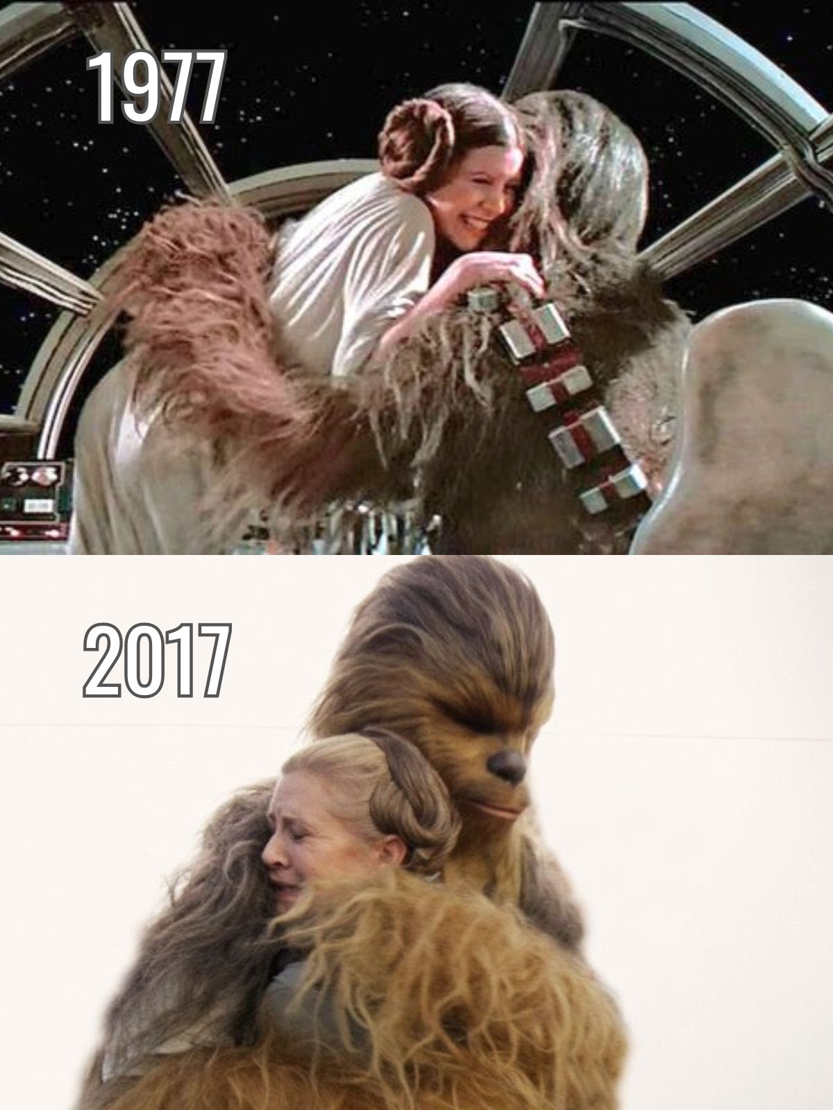 Leia and Chewbacca