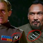 What Are These Metal Sticks on Imperial Uniforms