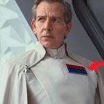 How Imperial Rank Plaques Actually Work (Color, Tile Count, and Power)